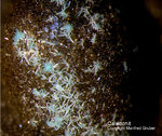 Harz Mineralien Schlackental Caledonit