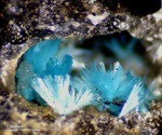 Harz Mineralien Schlackental Caledonit