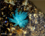 Harz Mineralien Schlackental Caledonit