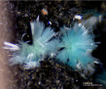 Harz Mineralien Schlackental Caledonit