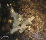 Harz Mineralien Schlackental Cerussit