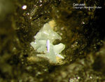 Harz Mineralien Schlackental Cerussit