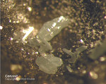 Harz Mineralien Schlackental Cerussit