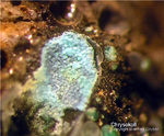 Harz Mineralien Schlackental Chrysokoll