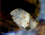 Harz Mineralien Schlackental Gips
