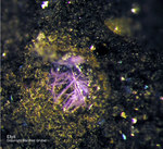 Harz Mineralien Schlackental Elyit