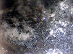 Harz Mineralien Schlackental Ettringit
