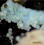 Mineralien Lavrion Jean Baptiste Arsenocrandallit