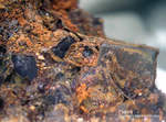 Mineralien Lavrion Jean Baptiste Fluorit