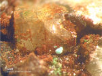 Mineralien Lavrion Jean Baptiste Fluorit
