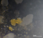 Lavrion Mineralien Passa Limani Freedit