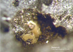Lavrion Mineralien Passa Limani Susannit