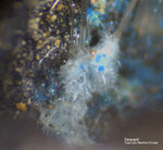 Lavrion Mineralien Passa Limani Serpierit