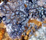 Lavrion Mineralien Serpieri Goethit