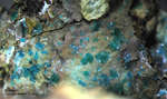 Lavrion Mineralien Serpieri Ktenasit