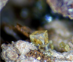 Lavrion Mineralien Serpieri Pharmakosiderit