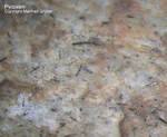 Griechenland Laurion Lavrion Mineralien Sounion Pyroxen