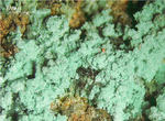 Griechenland Lavrion Mineralien Villia Antlerit