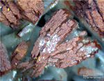 Griechenland Lavrion Mineralien Villia Baryt