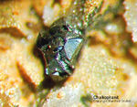 Griechenland Lavrion Mineralien Villia Chalkophanit