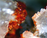 Bayern Mineralien Silbergrube Waidhaus Hureaulith