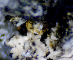 Bayern Mineralien Silbergrube Waidhaus Laueit