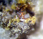 Bayern Mineralien Silbergrube Waidhaus Stewartit