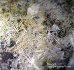 Bayern Mineralien Silbergrube Waidhaus Strunzit
