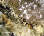 Bayern Mineralien Silbergrube Waidhaus Rockbridgeit