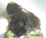 Bayern Mineralien Silbergrube Waidhaus Rockbridgeit