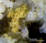 Bayern Mineralien Silbergrube Waidhaus Paravauxit