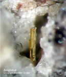 Mineralien Eifel Bellerberg Amphibol