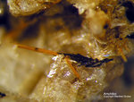 Mineralien Eifel Bellerberg Amphibol