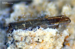 Mineralien Eifel Bellerberg Amphibol