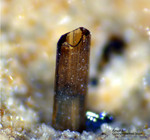 Mineralien Eifel Bellerberg Amphibol