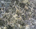 Eifel Mineralien Graulei Apatit