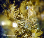Eifel Mineralien Graulei Apatit