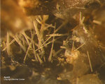 Eifel Mineralien Graulei Apatit