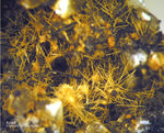 Eifel Mineralien Graulei Apatit