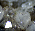 Eifel Mineralien Schellkopf Quarz Bergkristall