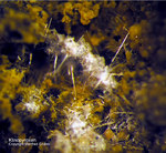 Eifel Mineralien Emmelberg Klinopyroxen
