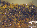 Eifel Mineralien Emmelberg Klinopyroxen