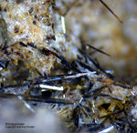 Eifel Mineralien Emmelberg Klinopyroxen
