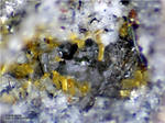 Eifel Mineralien Wannenköpfe Hornblende