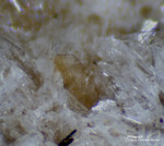 Eifel Mineralien Wannenköpfe Phlogopit