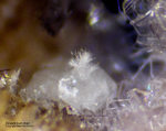 Eifel Mineralien Wannenköpfe Zirkon