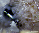Eifel Mineralien Wannenköpfe Zirkon