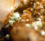 Mineralien Taunus Friedrichssegen Aurichalcit