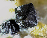 Eifel Mineralien Bellerberg Afghanit