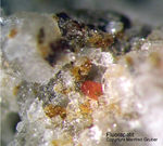 Eifel Mineralien Bellerberg Fluorapatit